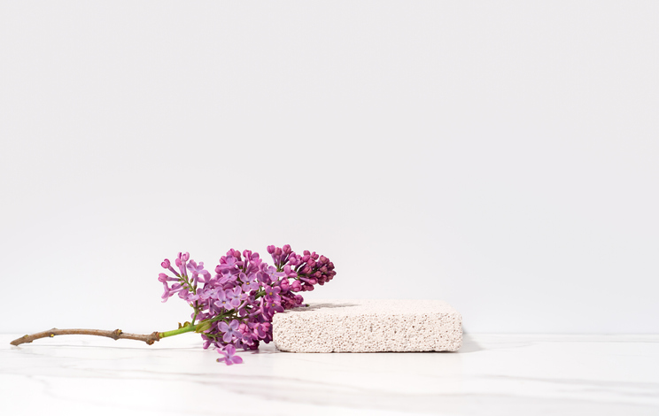 Cosmetics skin care product presentation scene and display with copy space made with pumice stone podium and blossom flowers lilac branch. Studio photography.