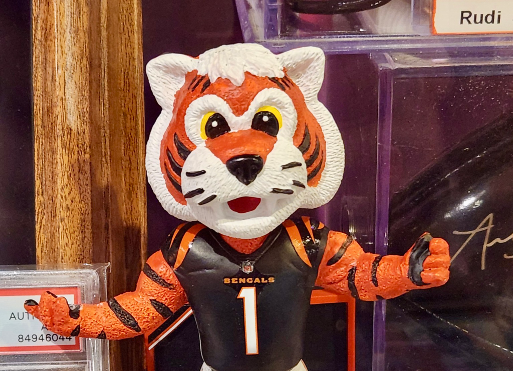 “The Road to the Bengals”