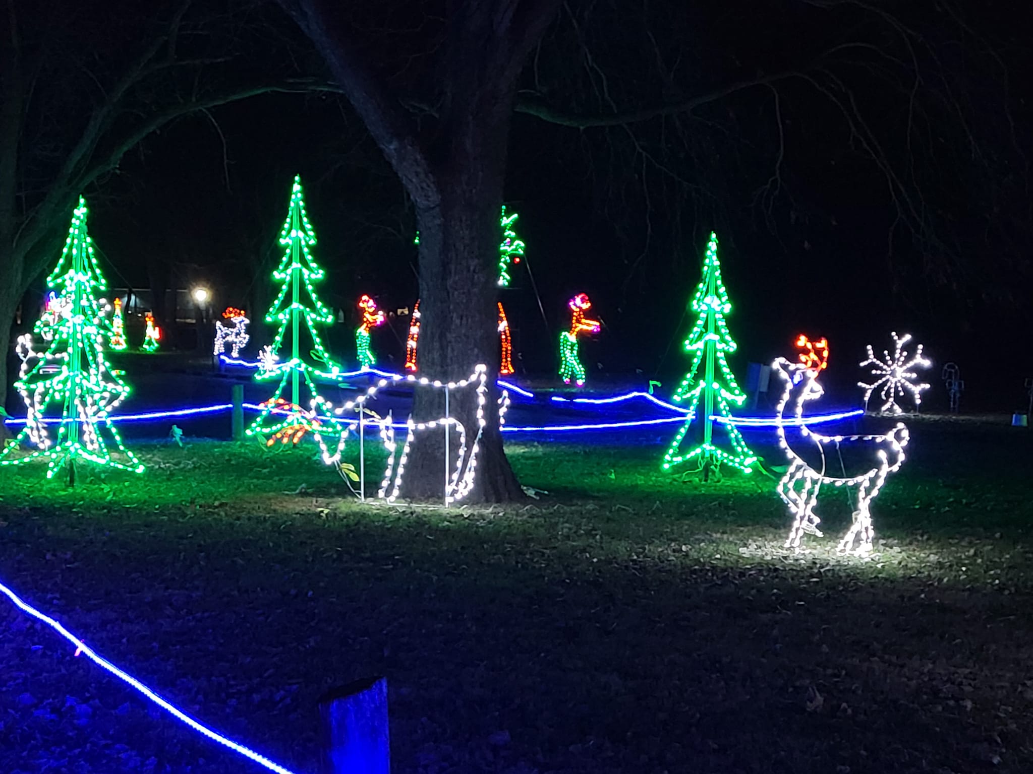Light Up Middletown