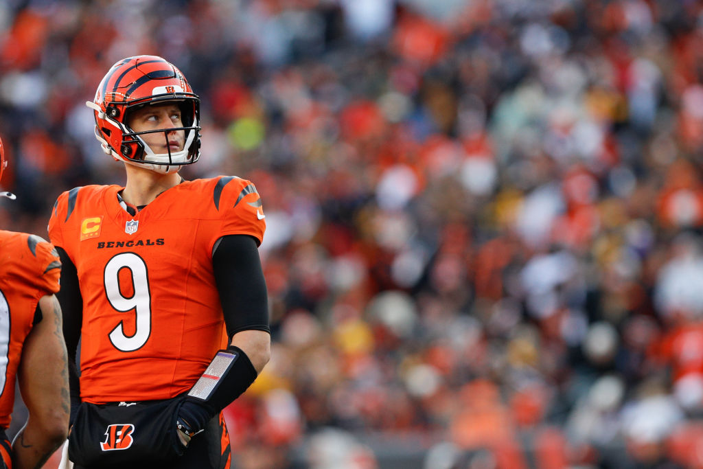 NFL: DEC 01 Steelers at Bengals