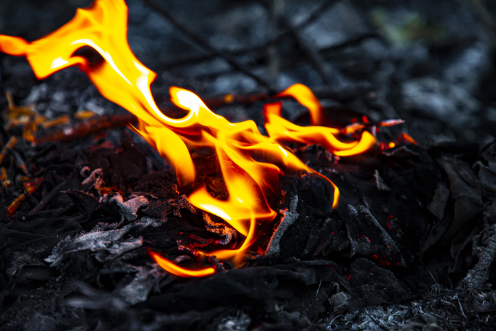 Aftermath of a Wildfire with Smoldering Ashes and Devastated Forest