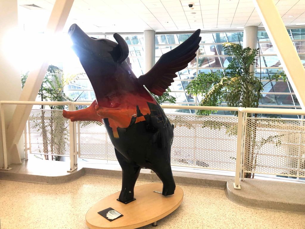 Cincinnati rinde tributo a su tradicional “Flying Pig Marathon”