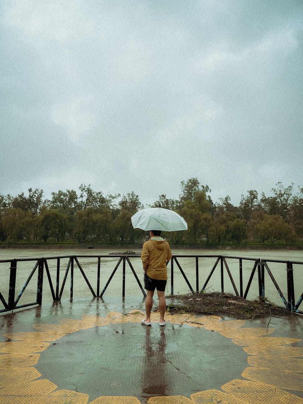 back view of a man with an umbrella standing on a pier