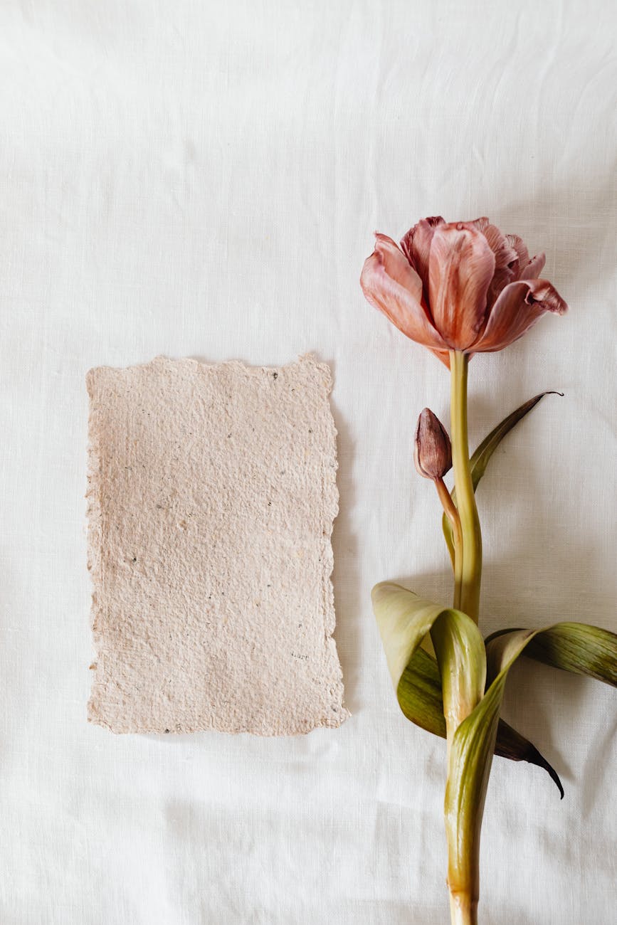 pink tulip on white textile