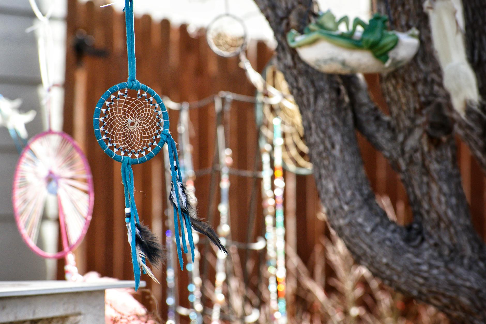 dream catcher hanging on a branch