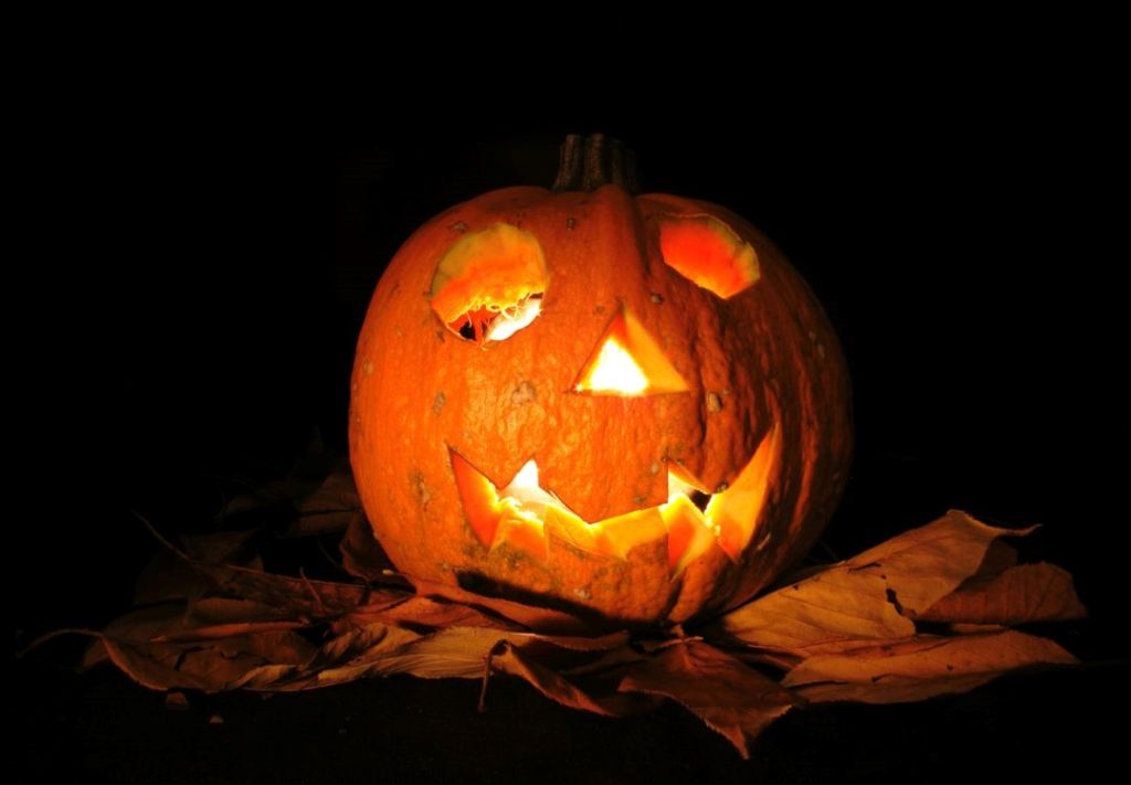 Calabazas submarinas en NKY, ¿Dónde se exhiben?