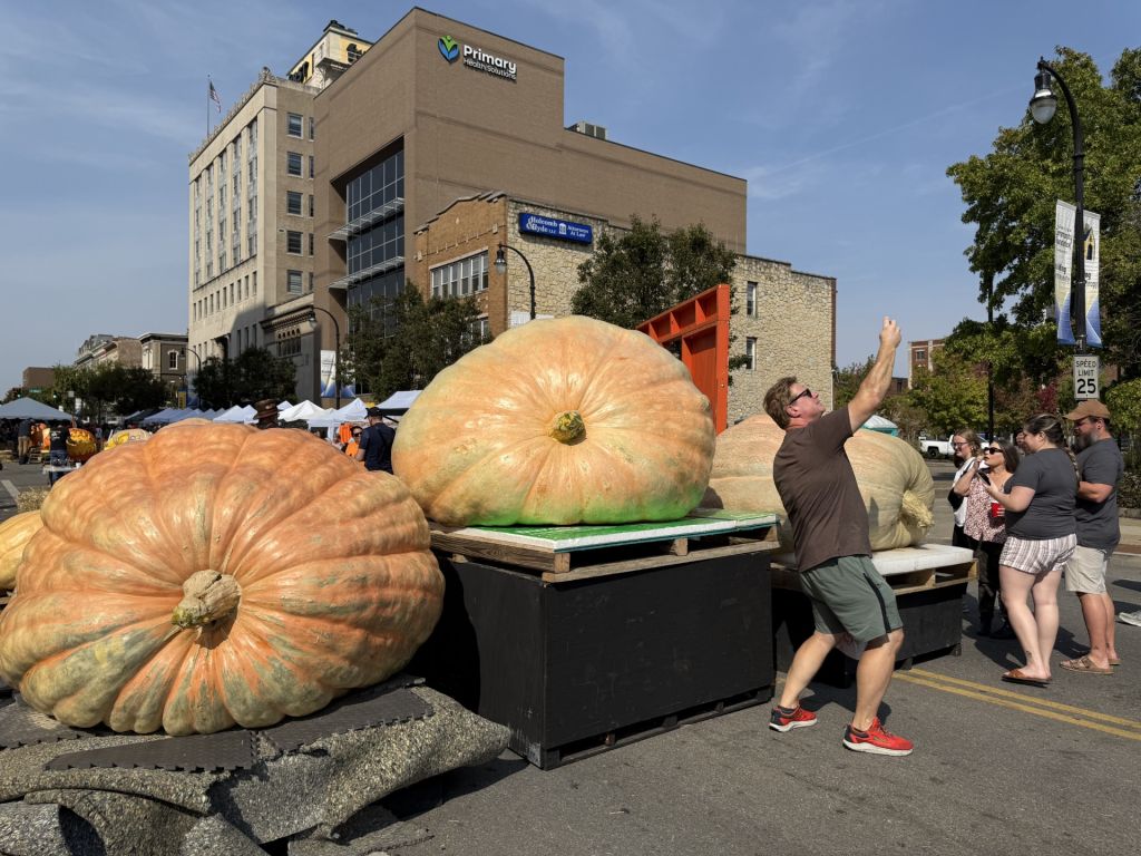 ¿Dónde admirar la exhibición de calabazas “más pesadas”?