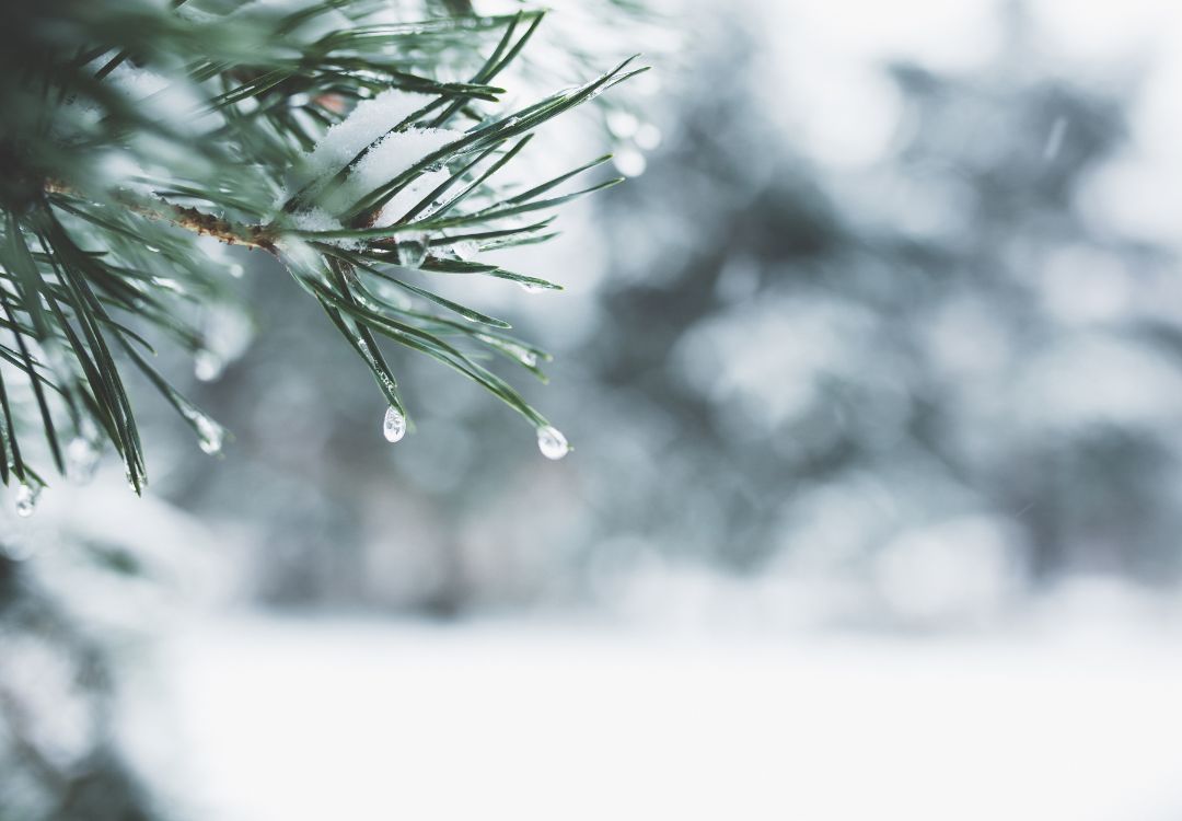 Nieve y frío complican el inicio de semana en Cincinnati