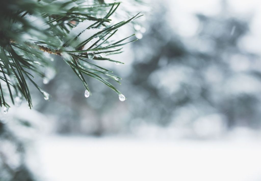 Nieve y frío complican el inicio de semana en Cincinnati