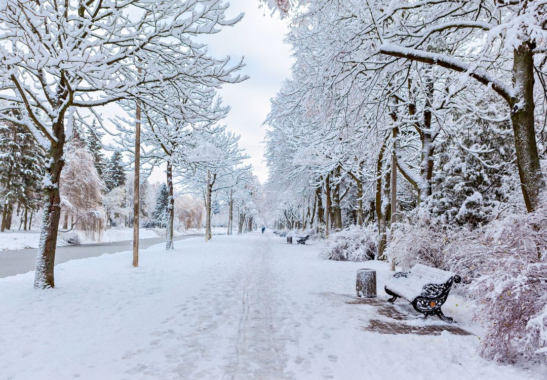 Guía práctica para enfrentar la ola invernal en Cincinnati