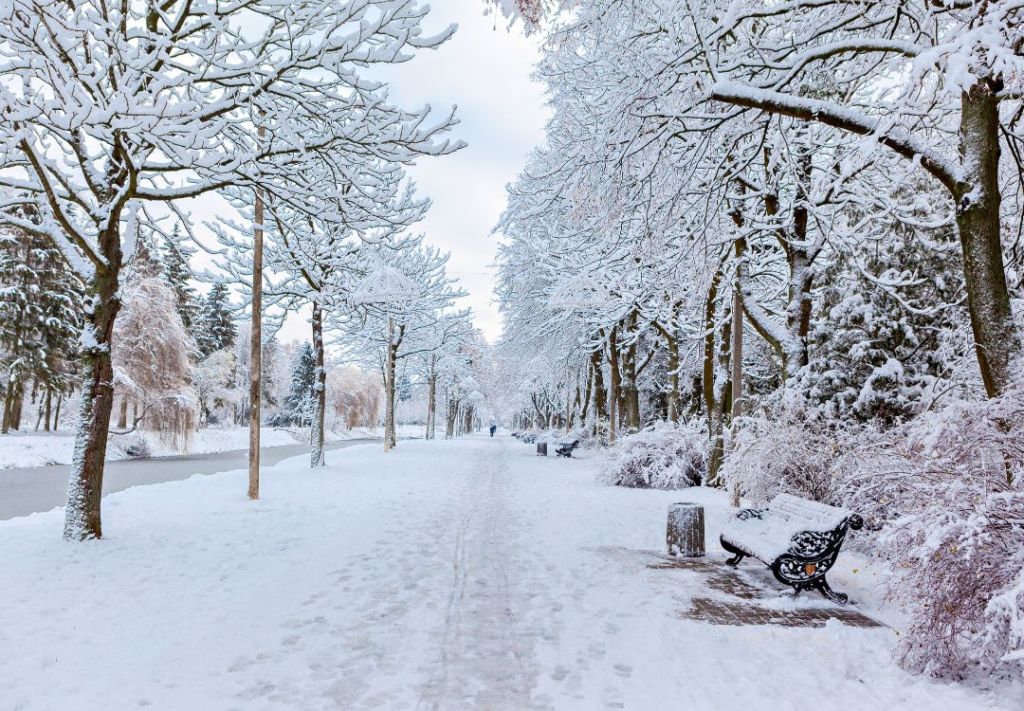 Guía práctica para enfrentar la ola invernal en Cincinnati