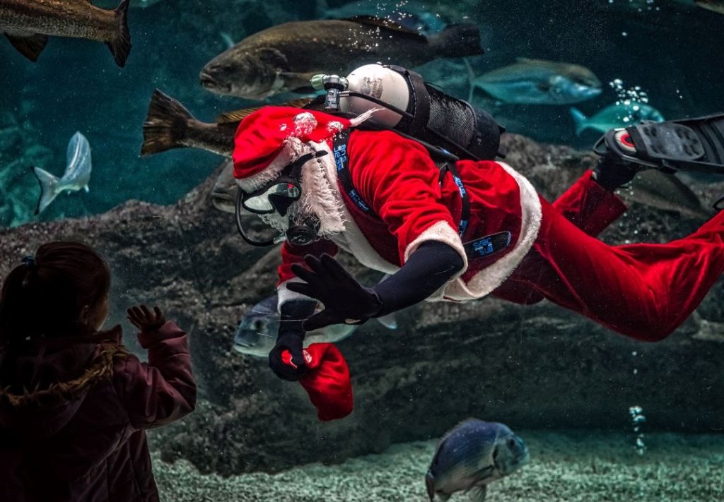 ¿Por qué Santa Claus ha cambiado sus renos por tiburones?  