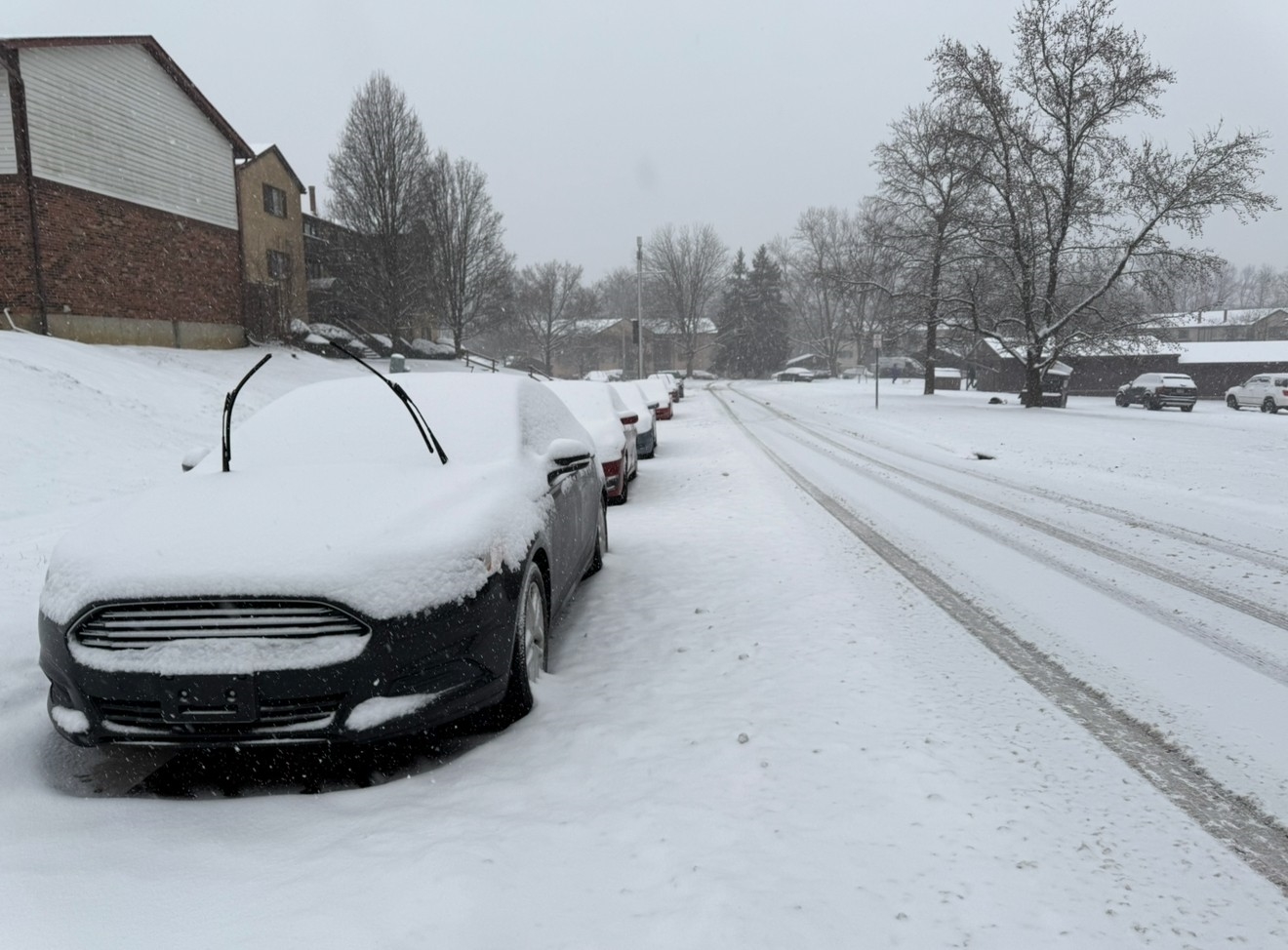 ¿Cómo prepararse para la tormenta invernal que se avecina?