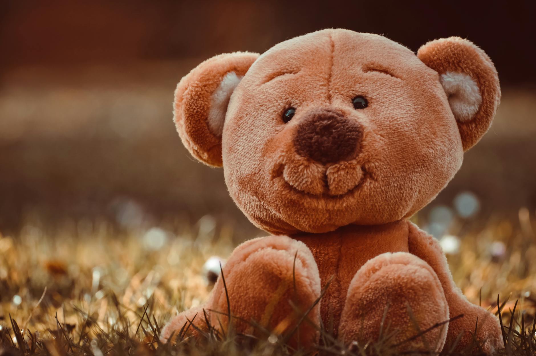 close up shot of a brown teddy bear on the grass