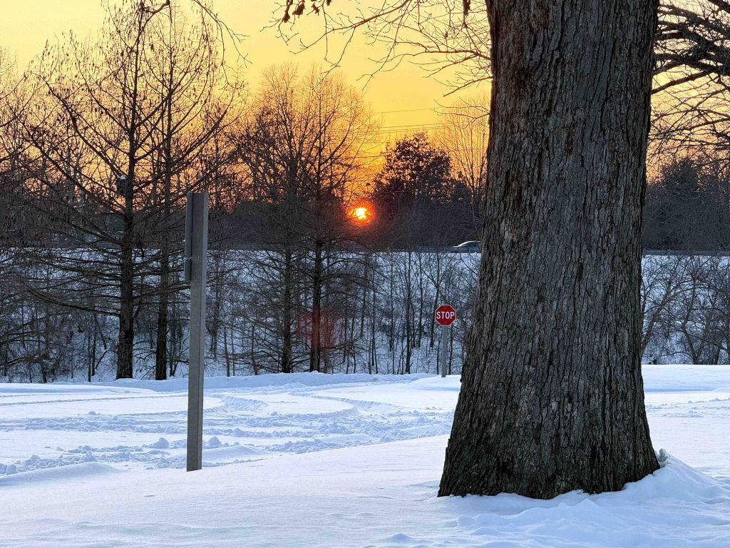 Winton Woods, un destino para admirar picos de hielo