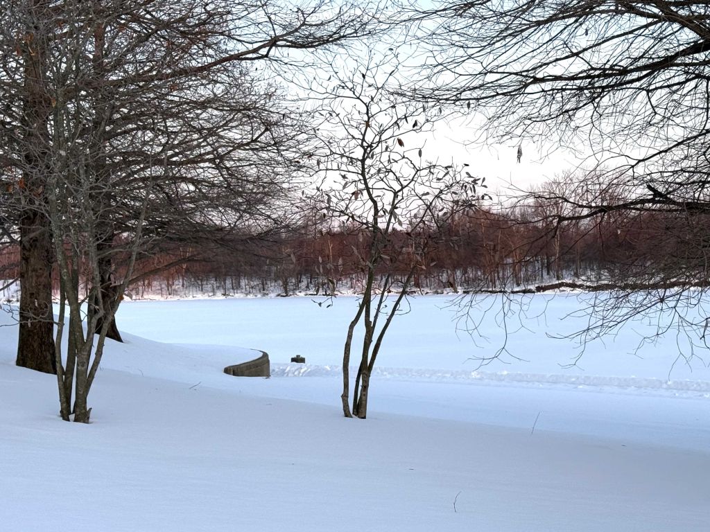 Winton Woods, un destino para admirar picos de hielo