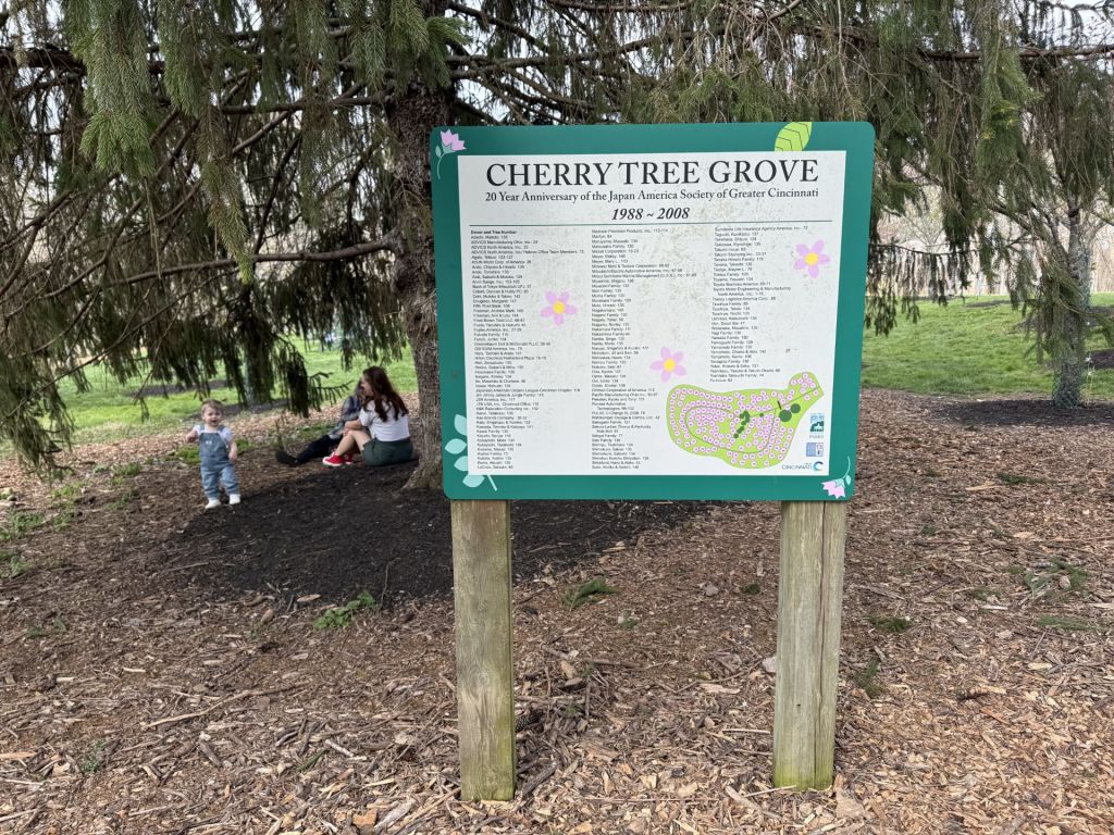 ¡Cincinnati también regala paisajes de cerezos en flor!