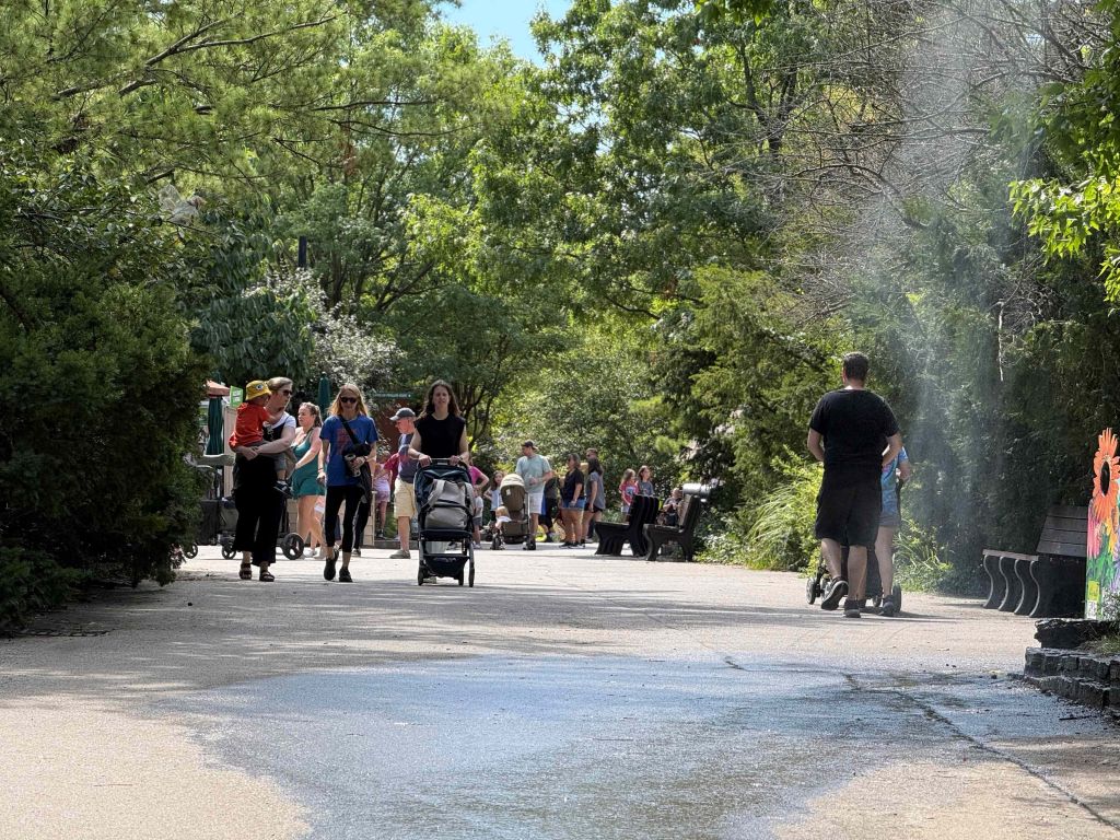 Cincinnati Zoo celebrará a mamá con entrada GRATIS este domingo