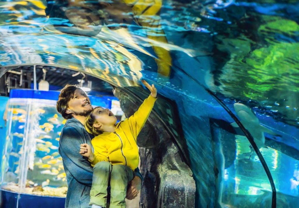 A couple embracing in front of a large aquarium with colorful underwater scenery and reflections.