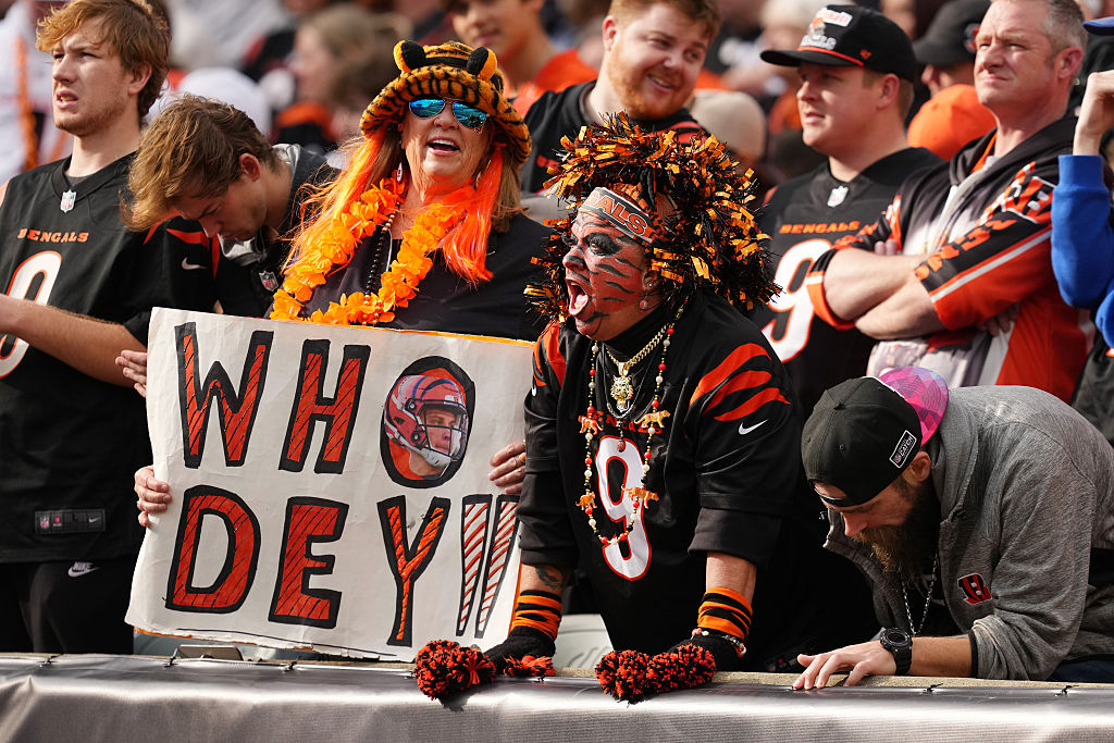 Arizona Cardinals v Cincinnati Bengals - NFL 2025