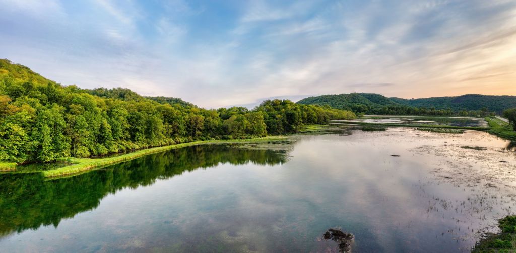 landscape with trees reflecting in a lake